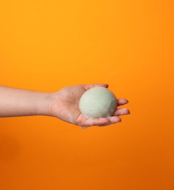 Cleansing Sponge